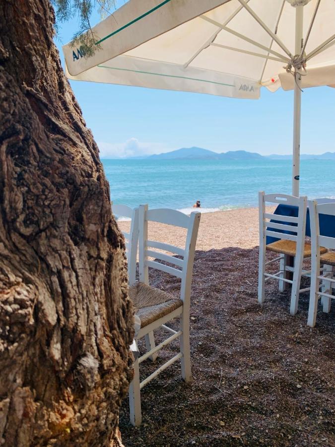 Villa ,,Sea Breeze,, - Home By The Sea Néa Ankhíalos 외부 사진