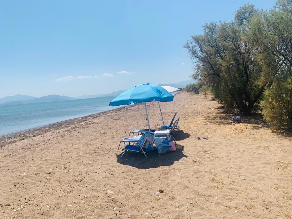 Villa ,,Sea Breeze,, - Home By The Sea Néa Ankhíalos 외부 사진