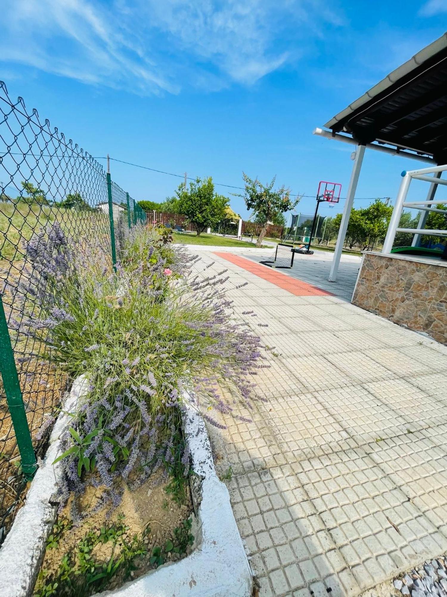 Villa ,,Sea Breeze,, - Home By The Sea Néa Ankhíalos 외부 사진